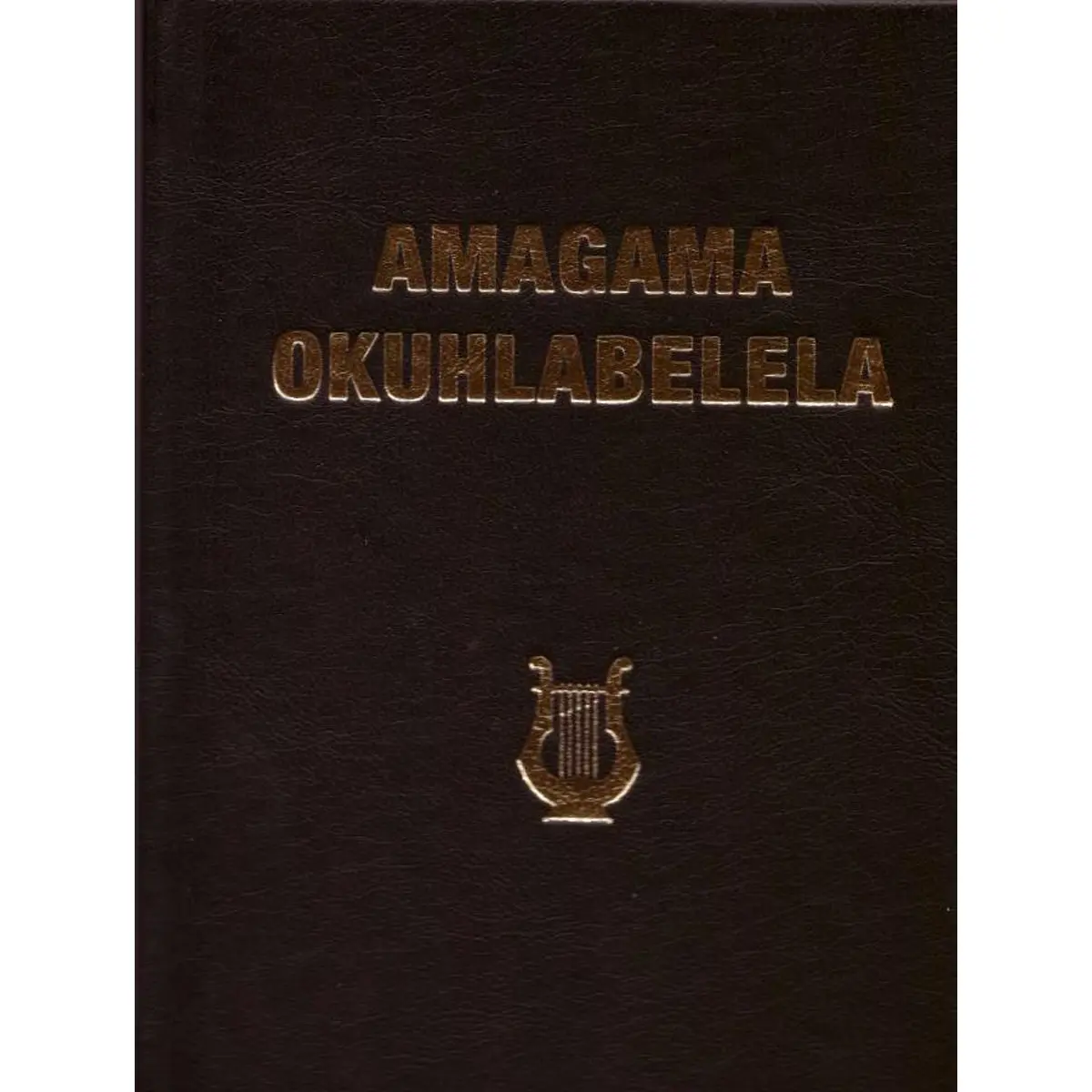 Amagama Okuhlabalela Zulu (Hardcover) 1
