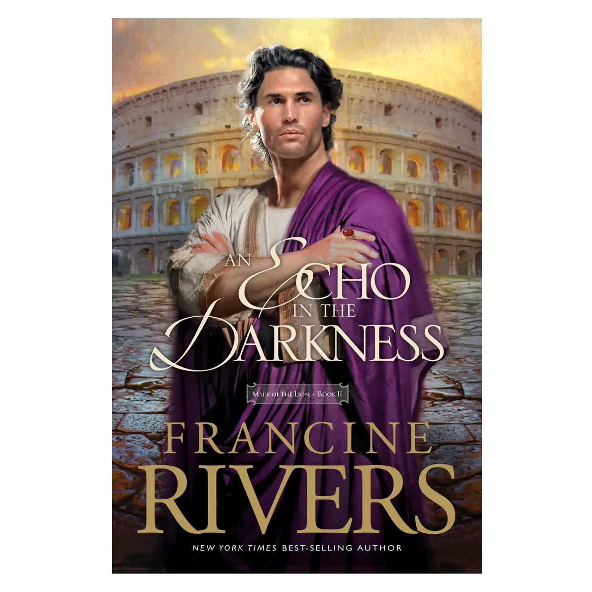 An Echo In The Darkness (2 Mark Of The Lion)(Paperback) 1