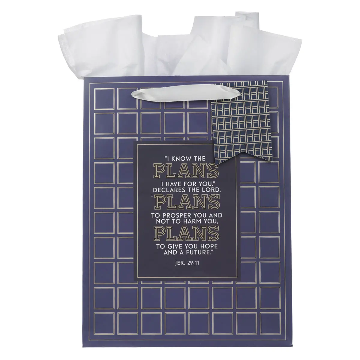 I Know The Plans Grid Navy Portrait Gift Bag With Gift Tag 1