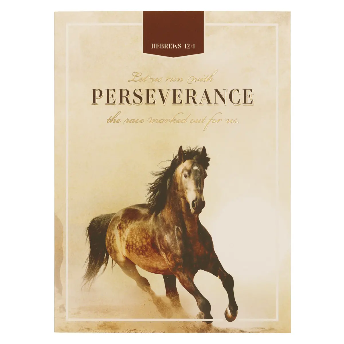 Let Us Run With Perseverance The Race Marked Out For Us Notebook 1