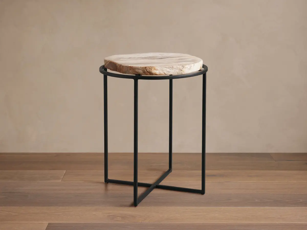 Petrified Side Table 1