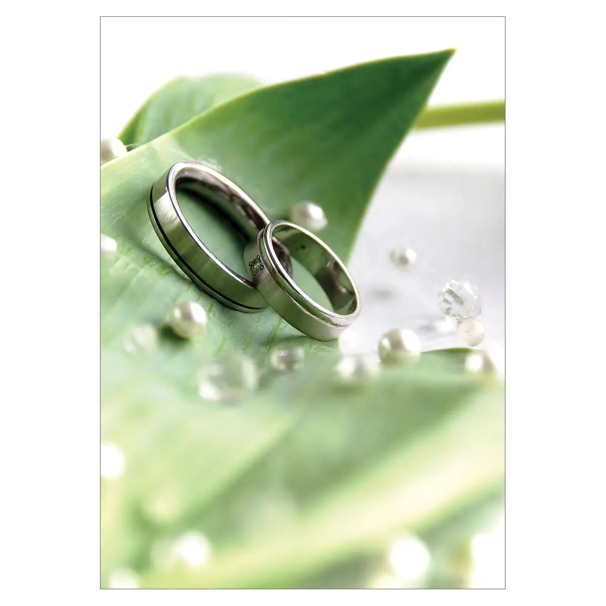 Rings (Pack Of 100)(Bulletin) 1