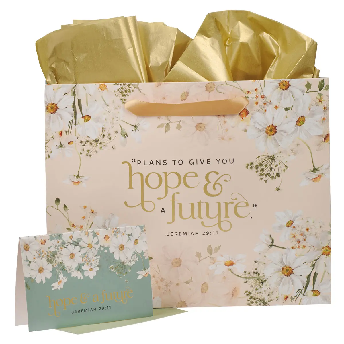 I Know The Plans Large Landscape Gift Bag With Card 1