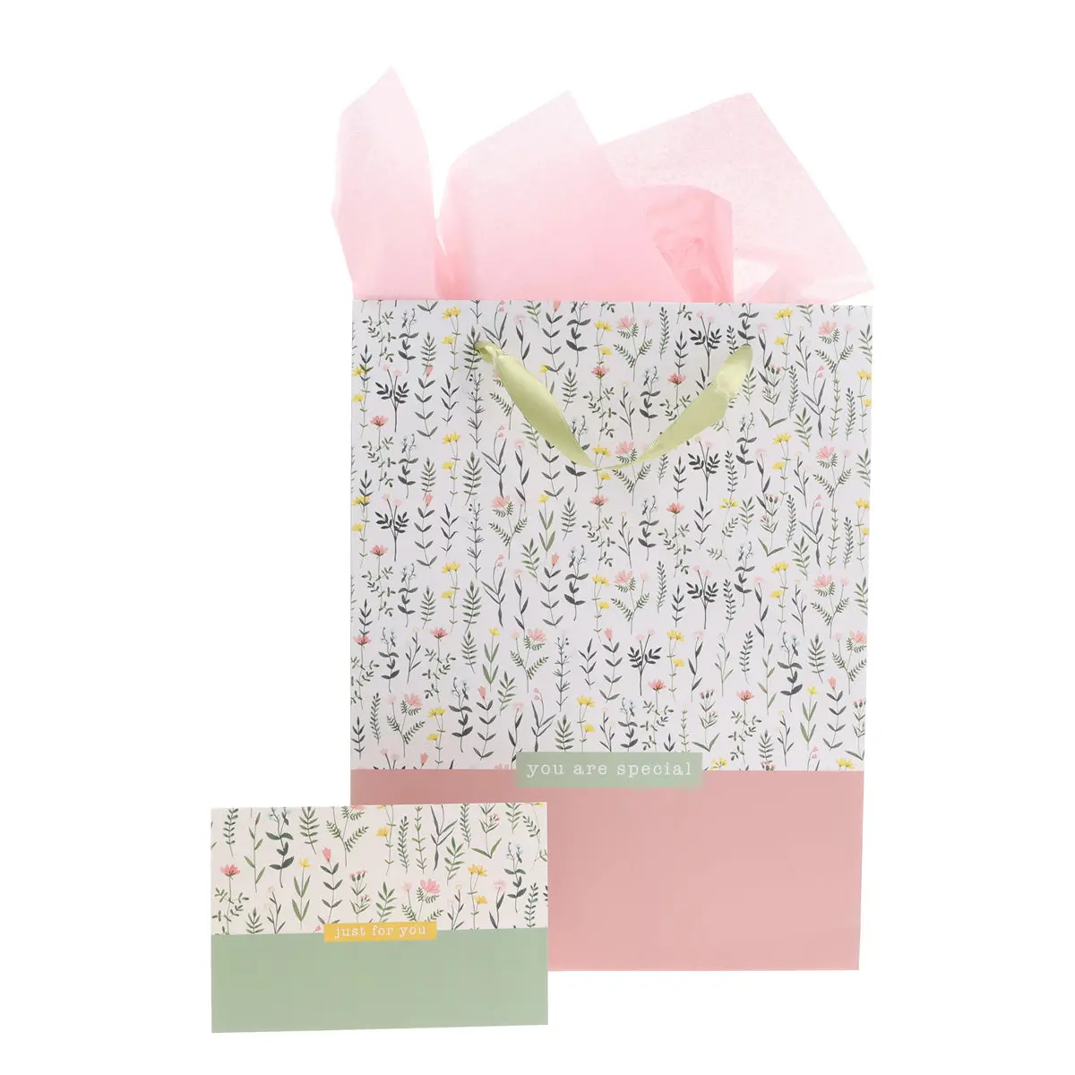 You Are Special Portrait Gift Bag With Gift Card 1