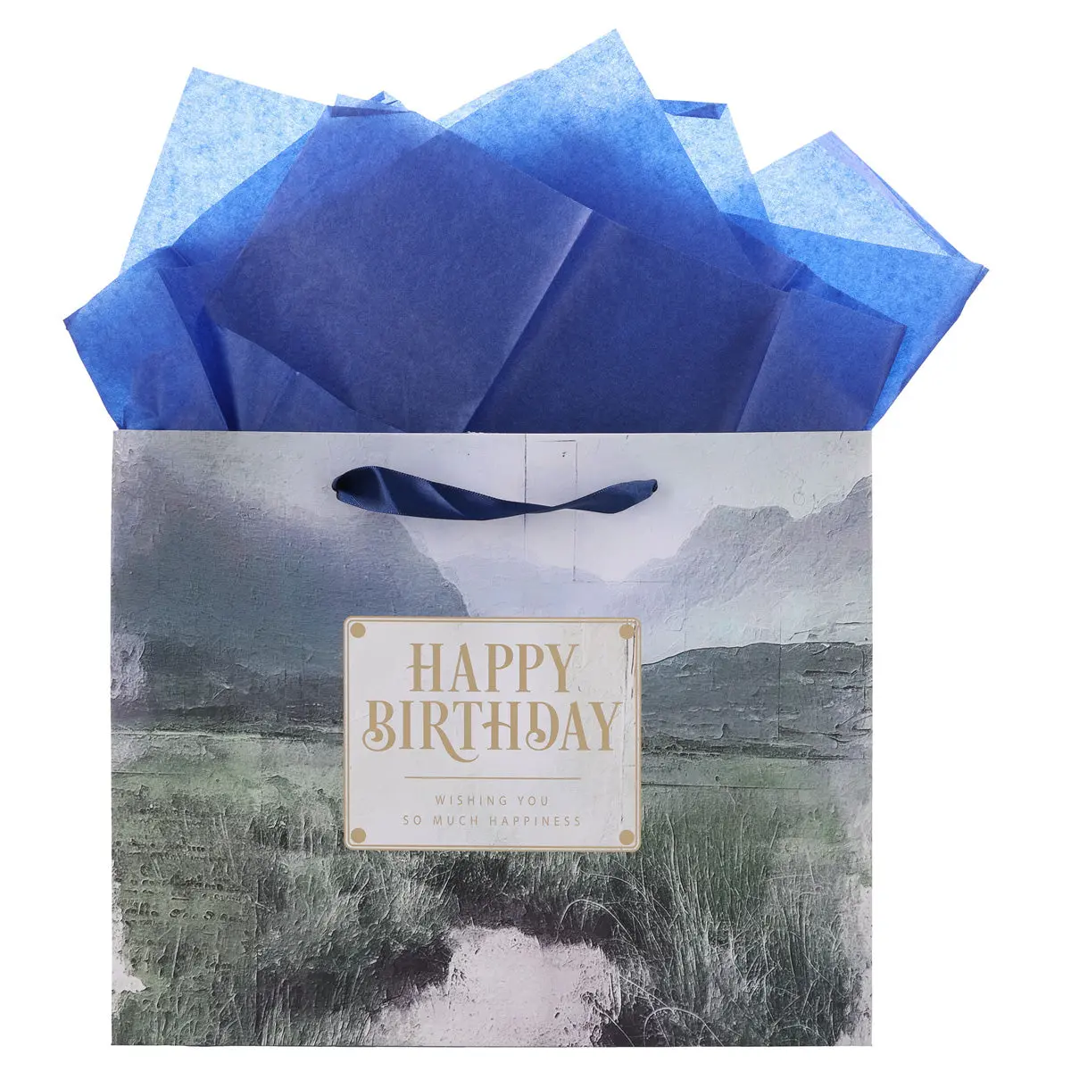 Vally Scene Happy Birthday Large Landscape Gift Bag With Card 1