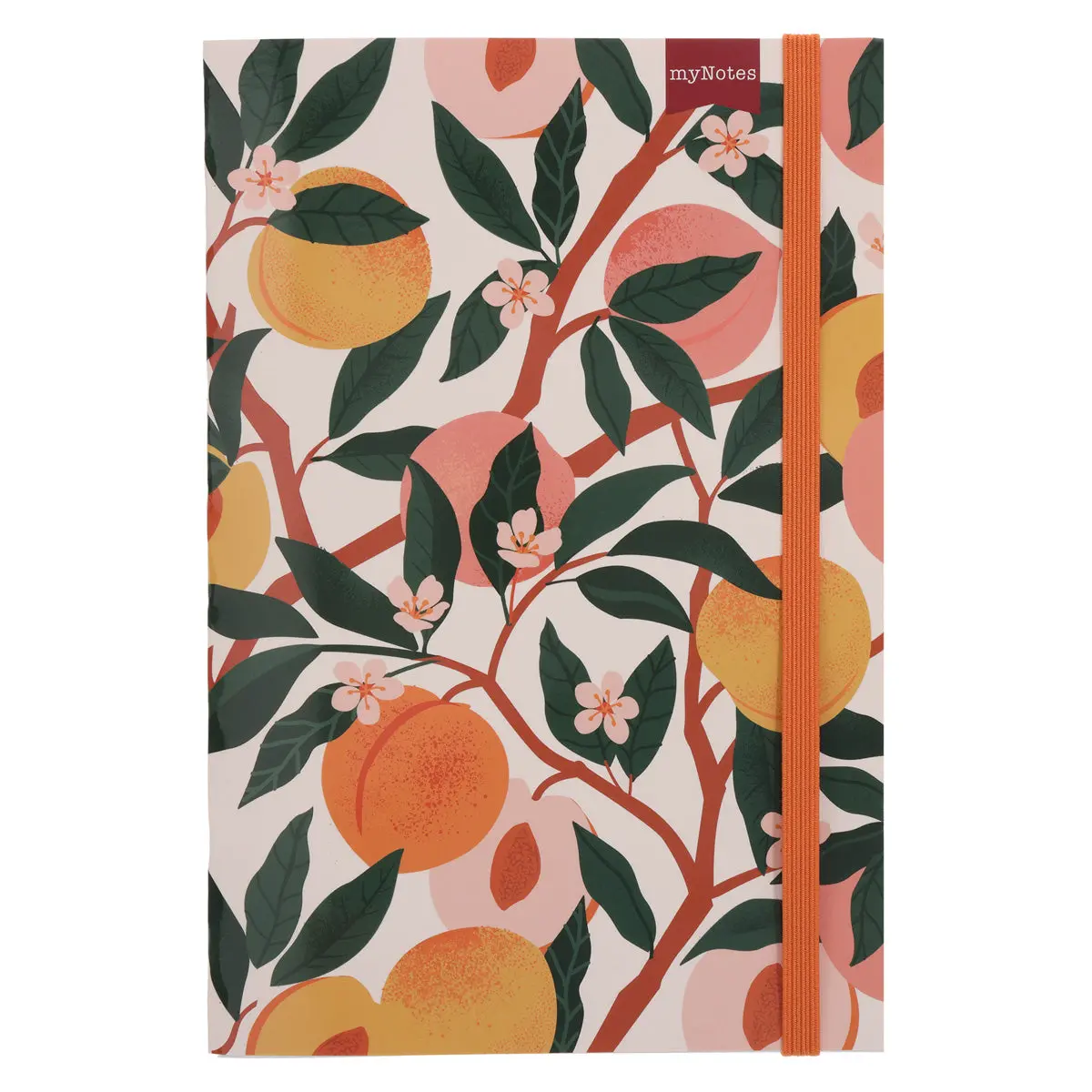 Mynotes Peaches A5 (Paperback) 1