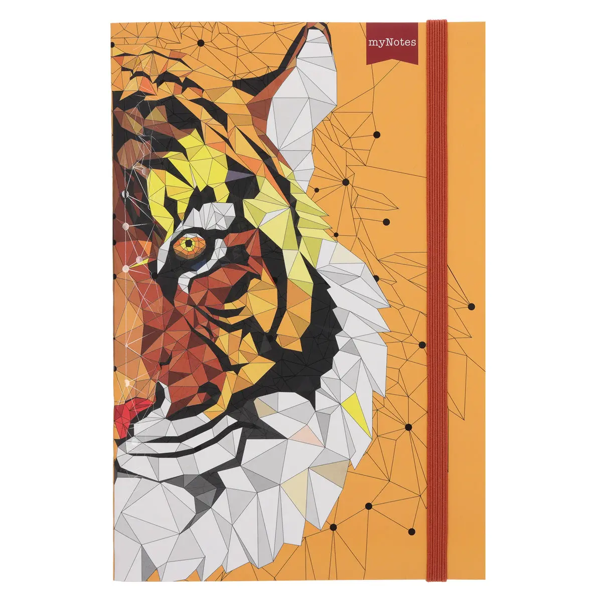 Mynotes Tiger A5 (Paperback) 1