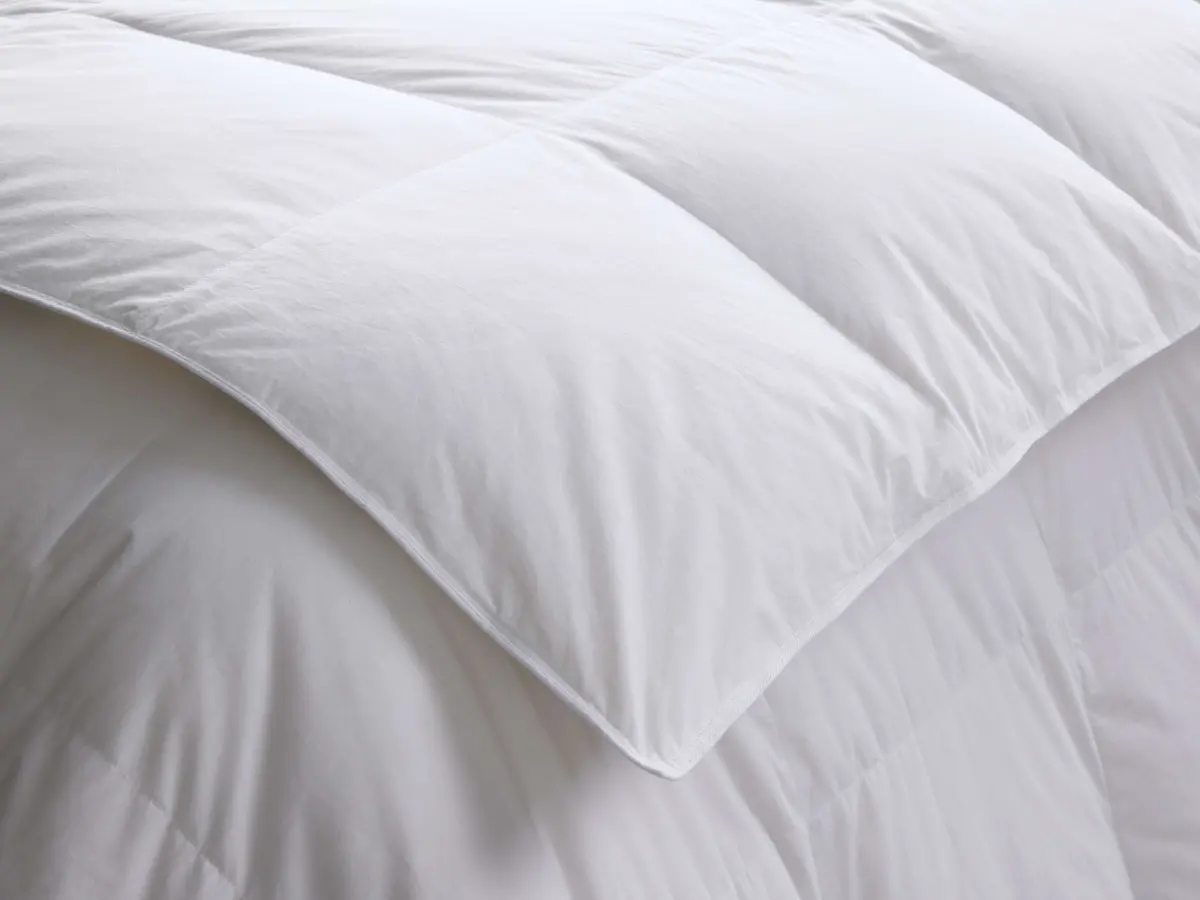 Down Duvet Insert 1