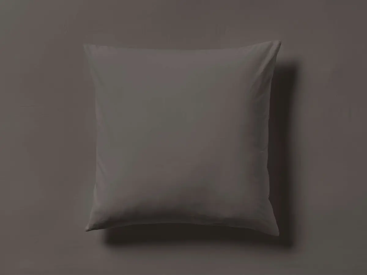 Washed Sateen Sham 1