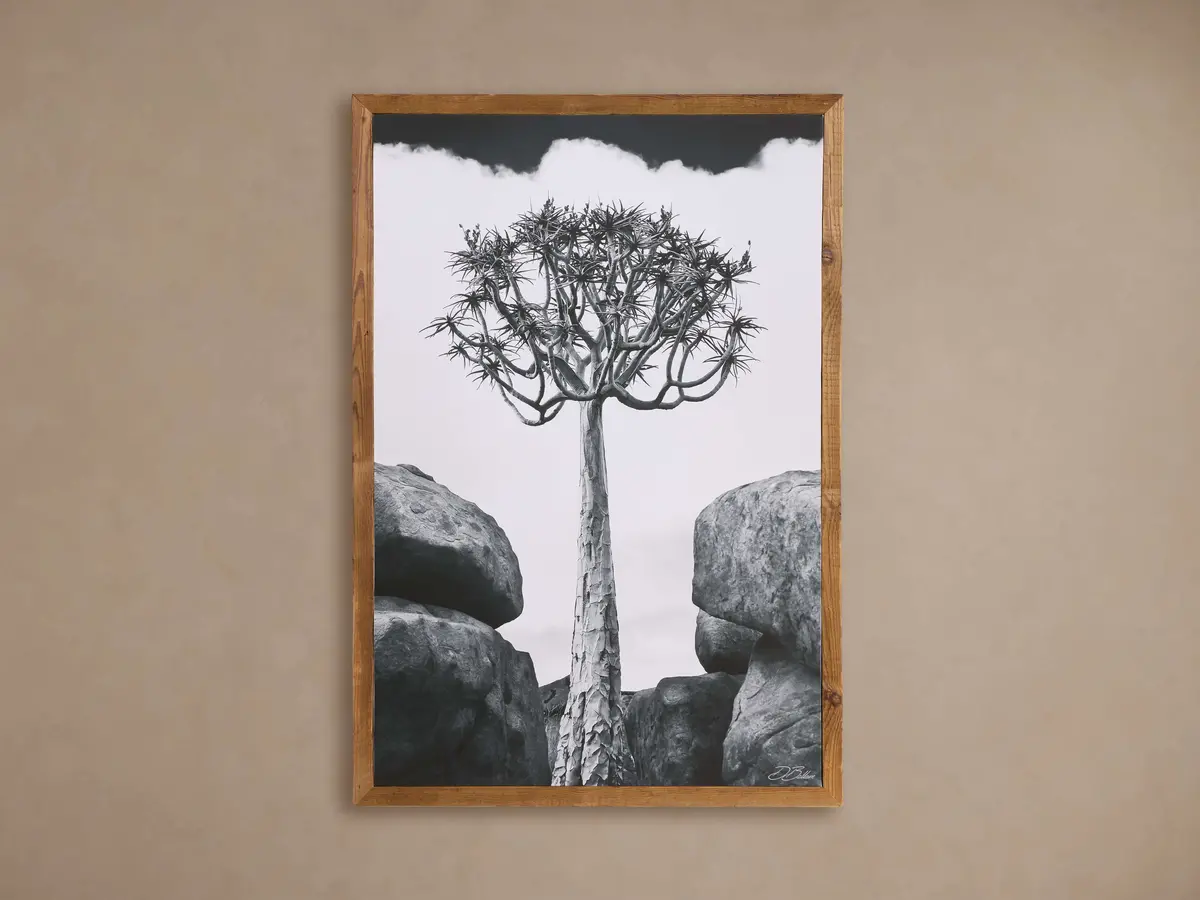 Aloidendron Framed Print 1