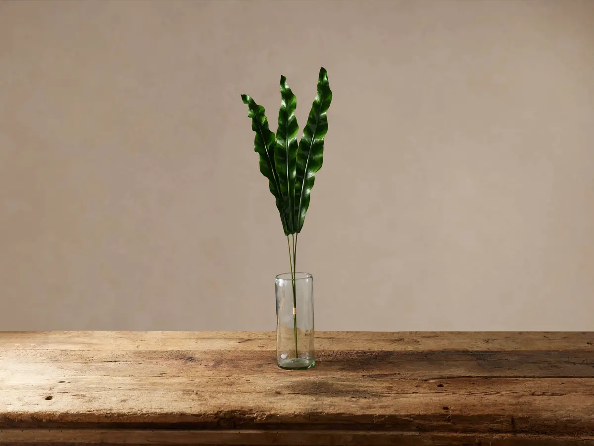Faux Bird's Nest Fern Frond 1