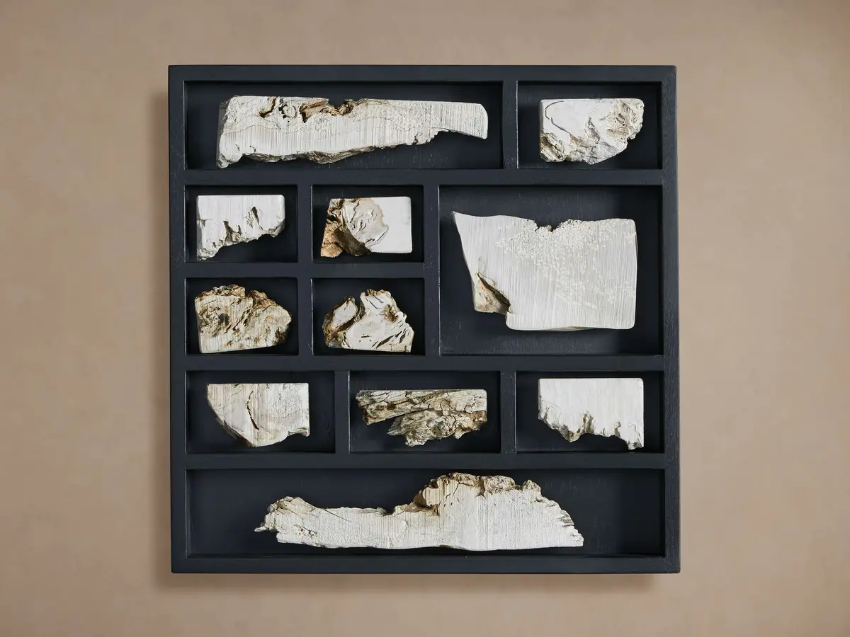 Burl Sections Ii Wall Art 1