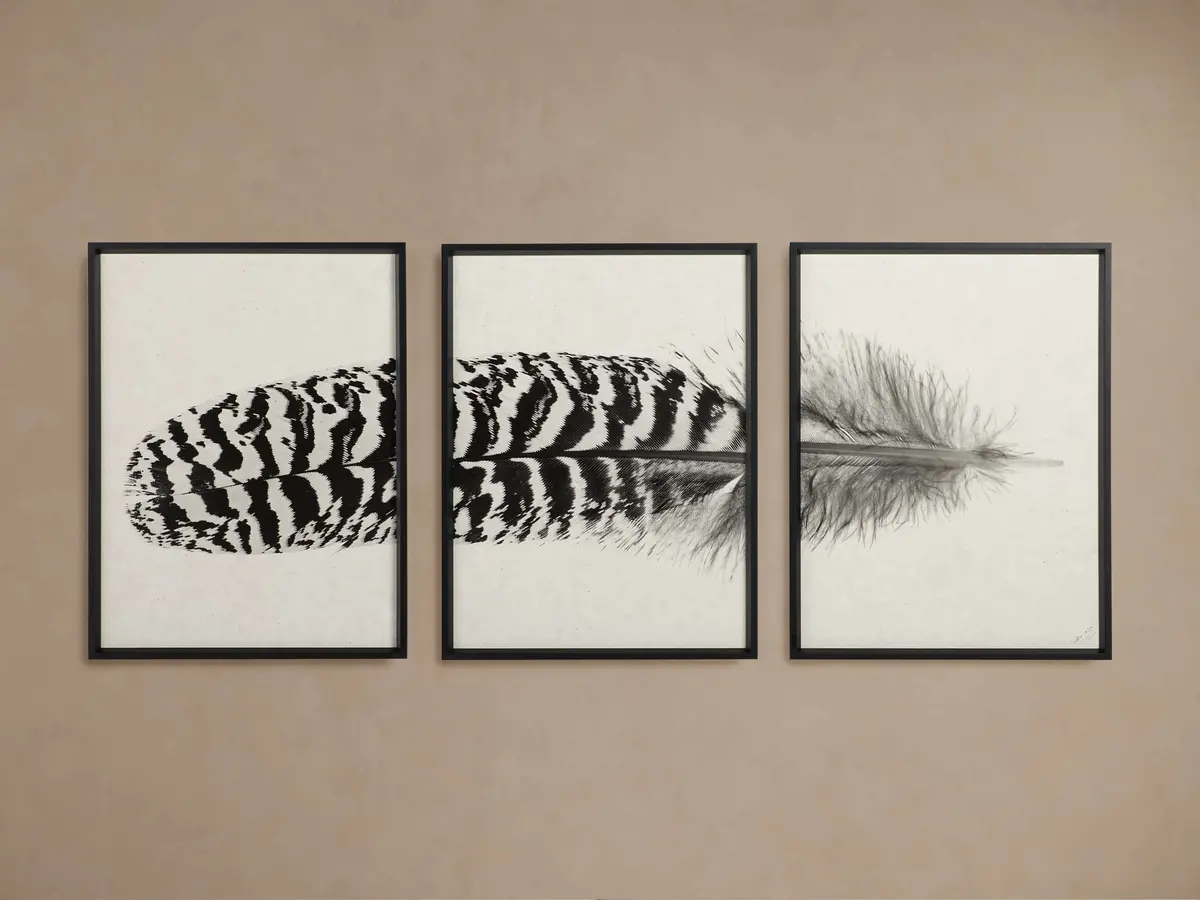 Peacock Feather Framed Print (Set Of 3) 1