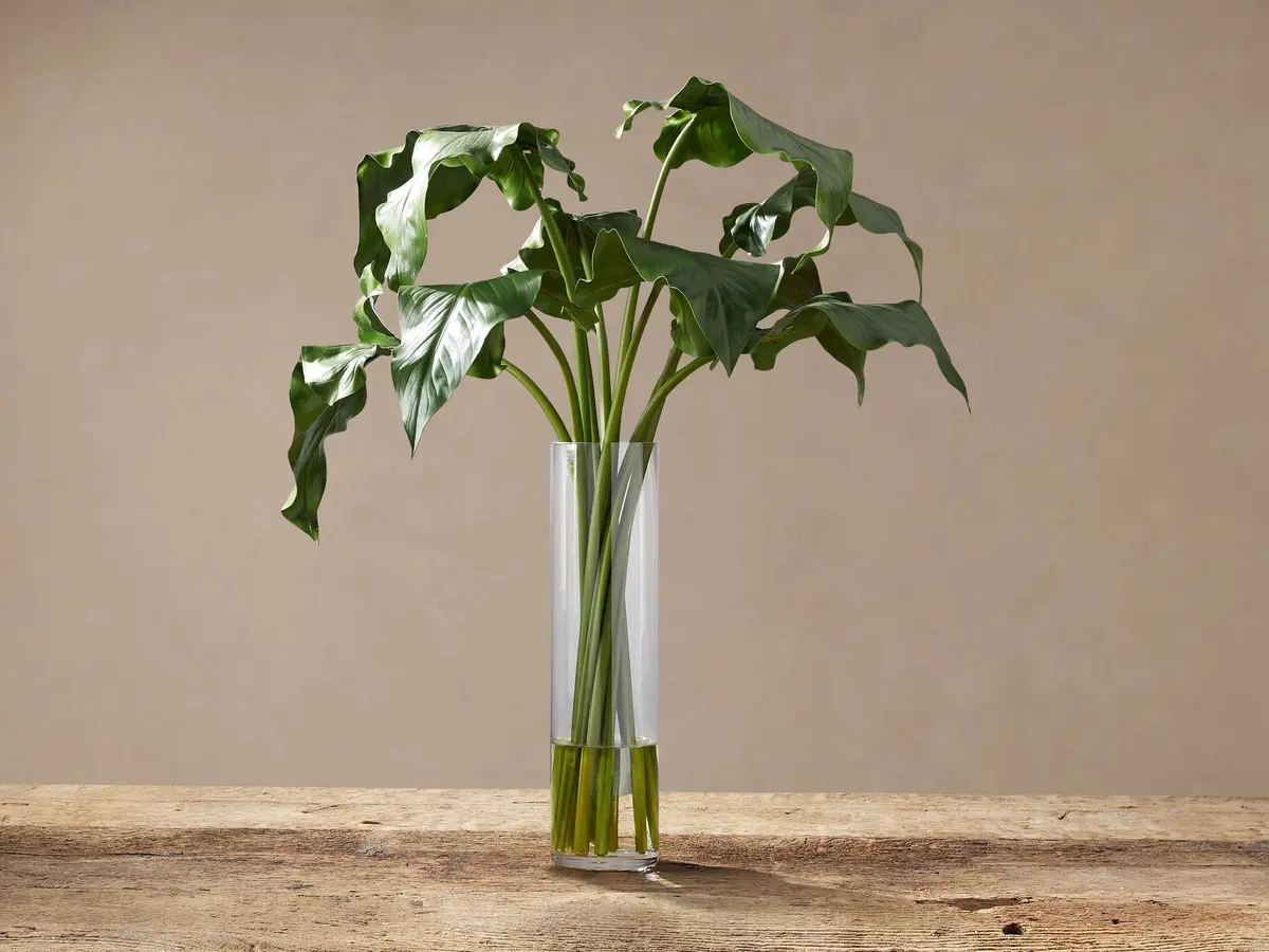 Faux Calla Leaf In Large Vase 1
