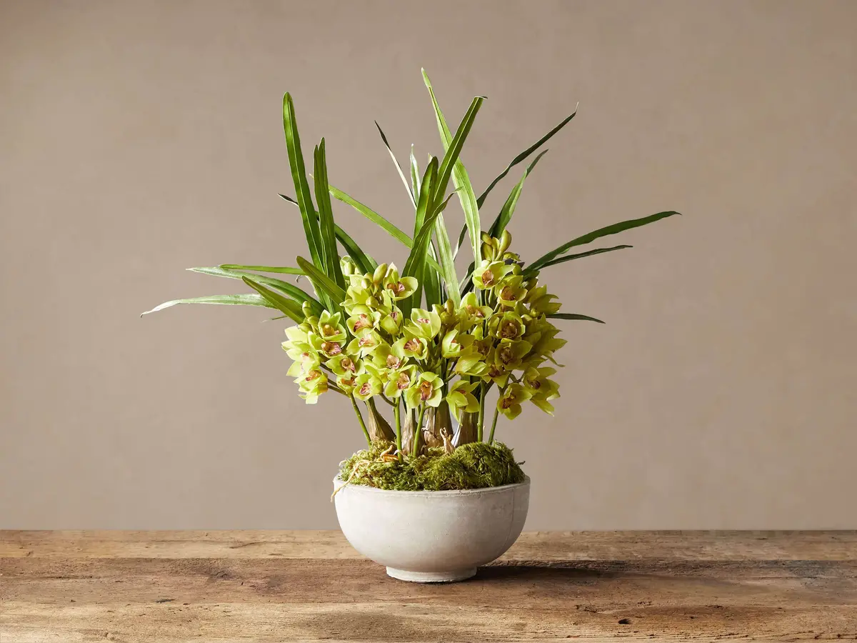 Faux Green Cymbidium Orchid In Bowl 1