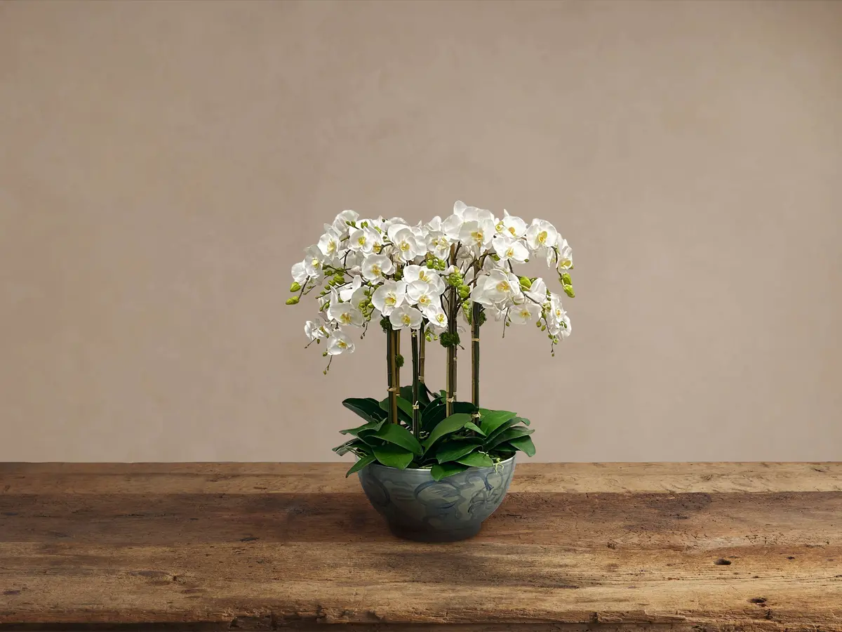 Faux White Orchids In Painted Bowl 1