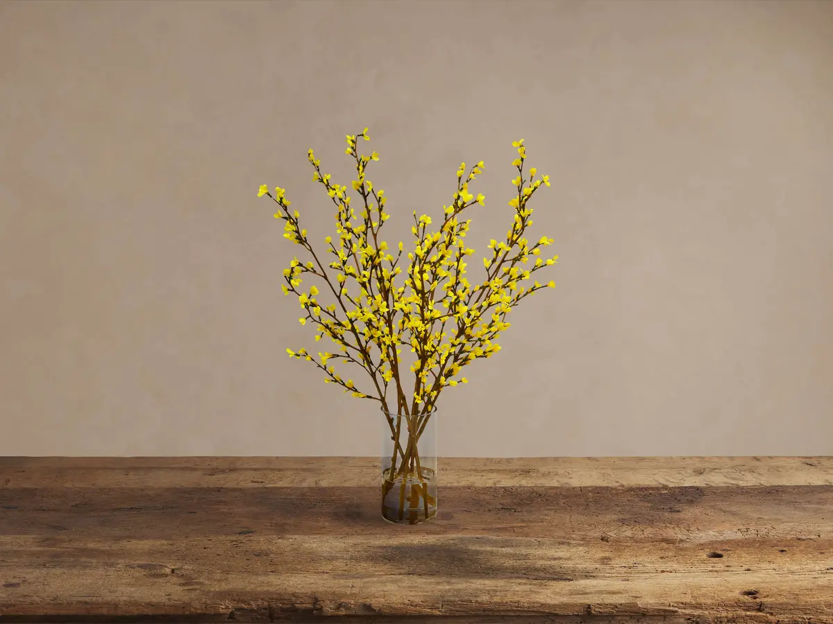 Forsythia In Glass 1