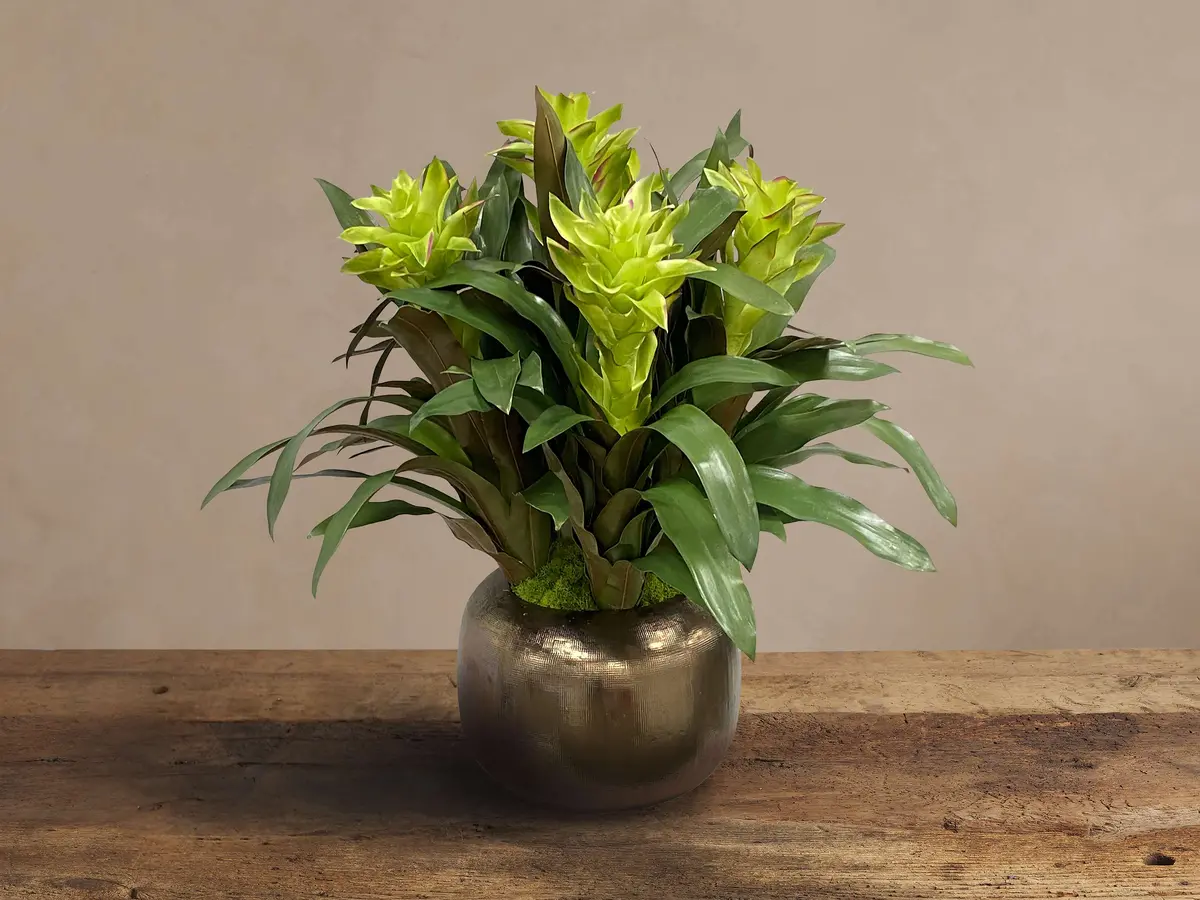Faux Bromeliad In Artisanal Pot 1