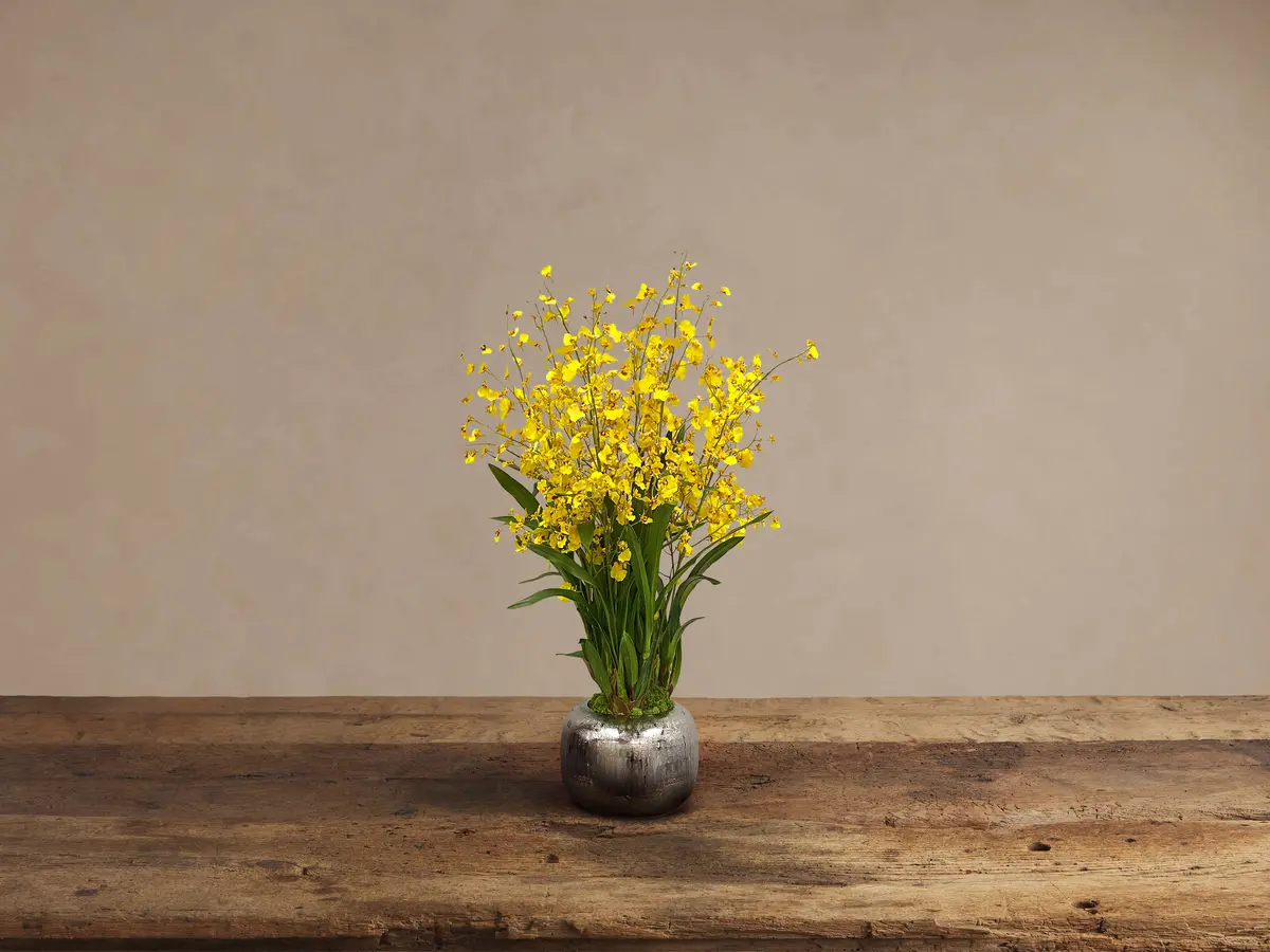Faux Dancing Orchid In Artisanal In Pot 1