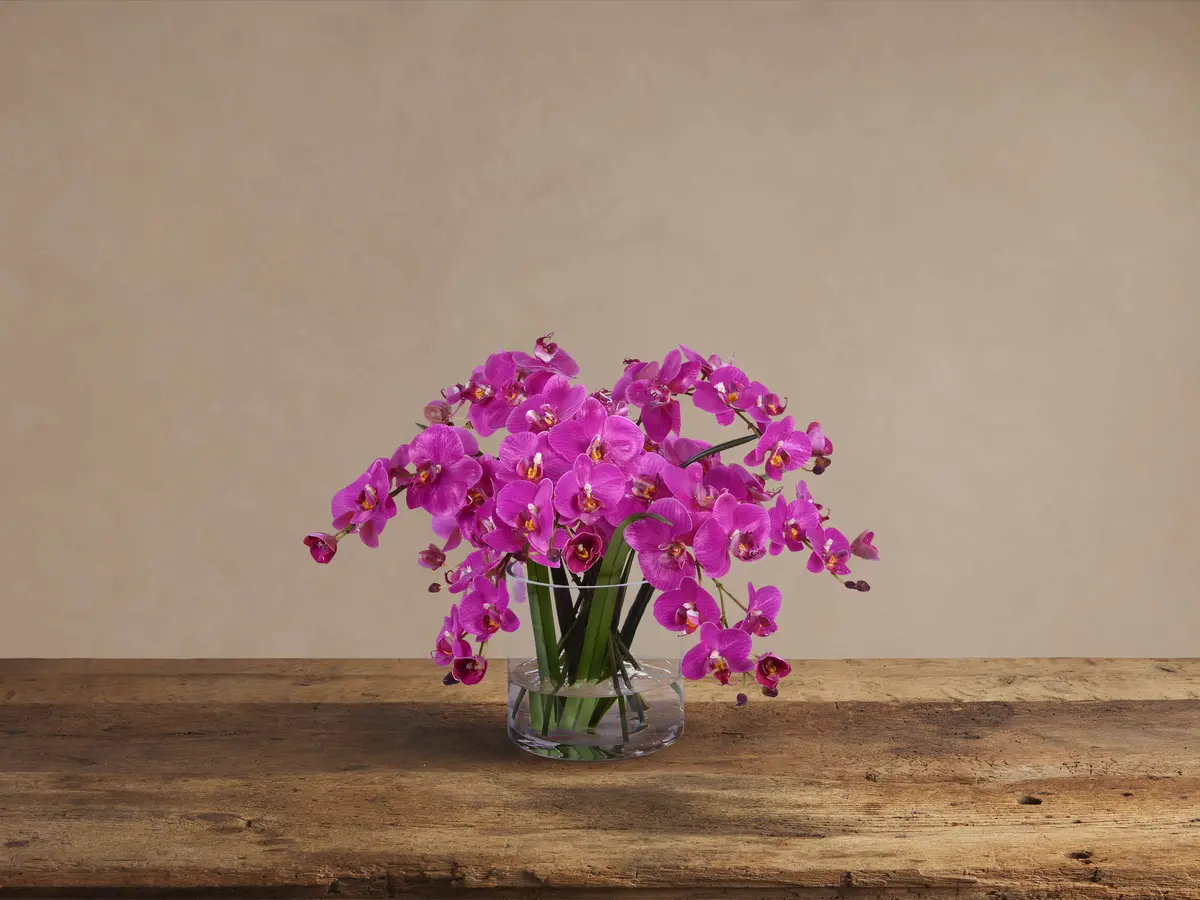 Faux Fuchsia Phalaenopsis In Glass 1