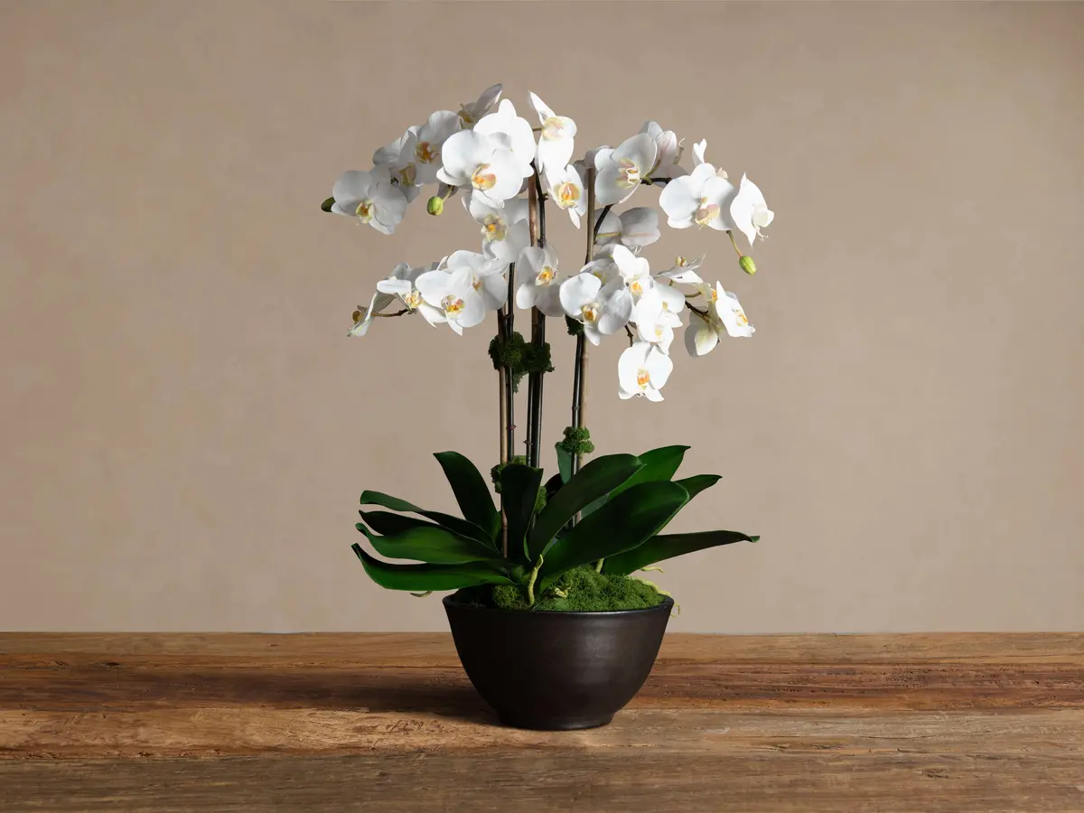 Faux White Orchids In Bronze Terracotta Bowl 1