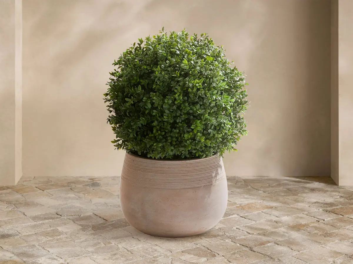 Boxwood Small Ribbed Planter 1