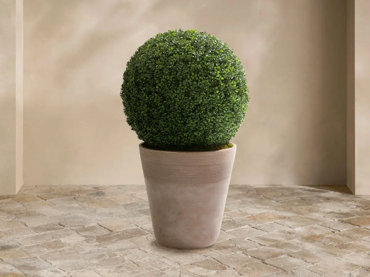 Boxwood Ribbed Planter 1