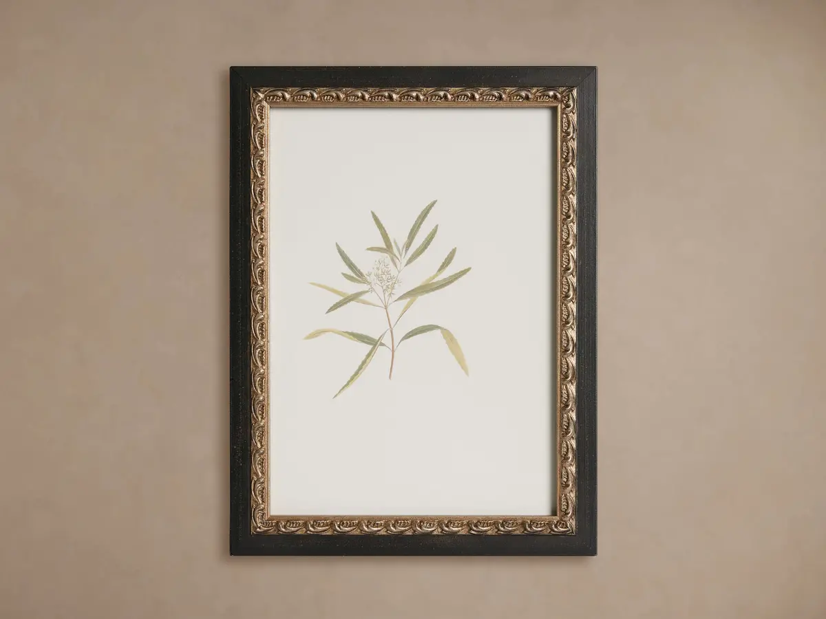 Thistle Framed Print 1