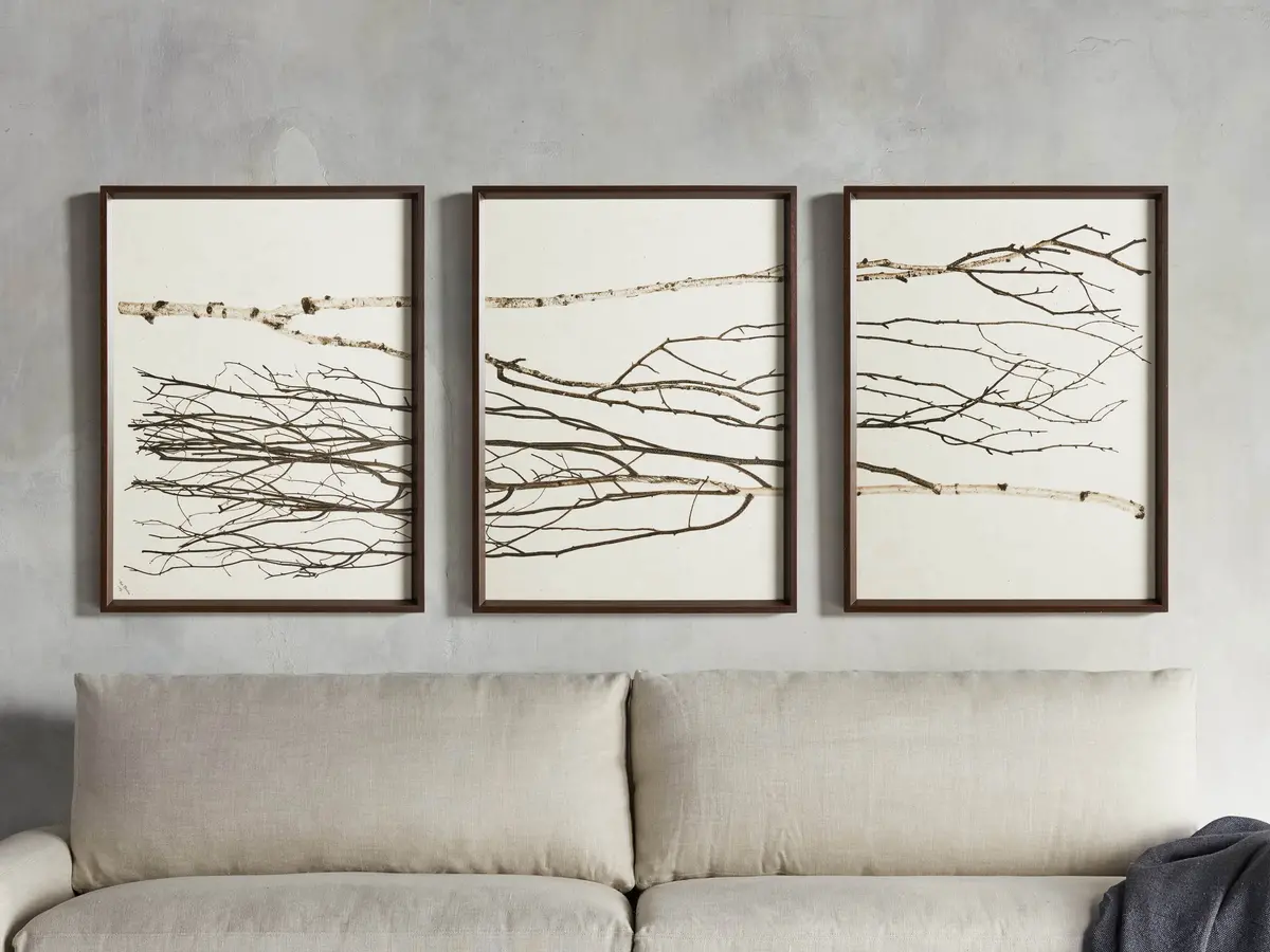 Birch Framed Print (Set Of 3) 1