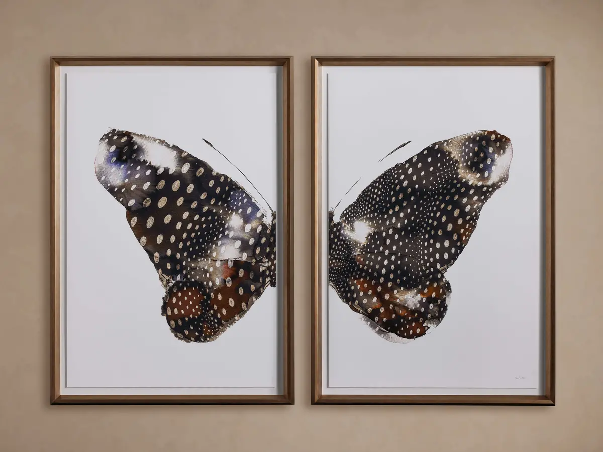 Aile Framed Print (Set Of 2) 1
