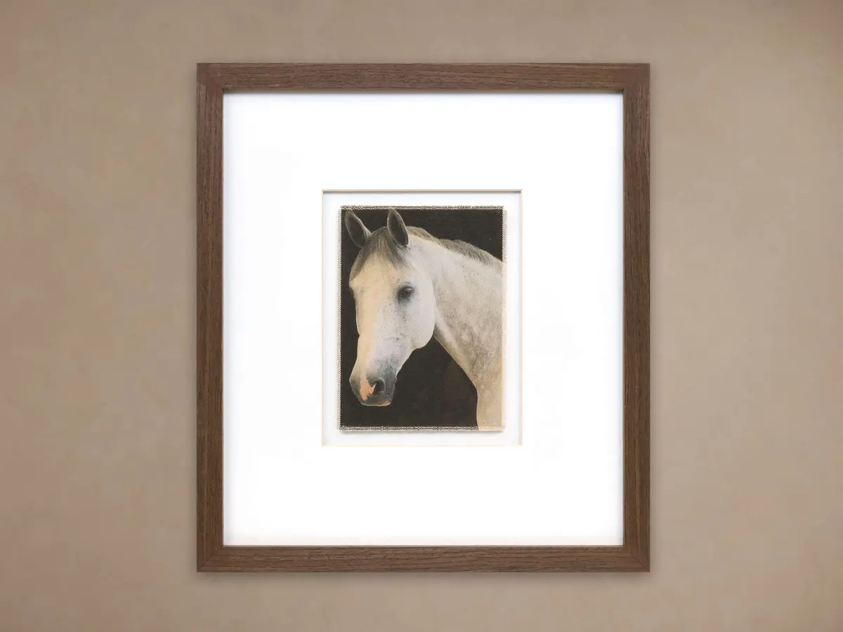 Equestrian Details Framed Print 1