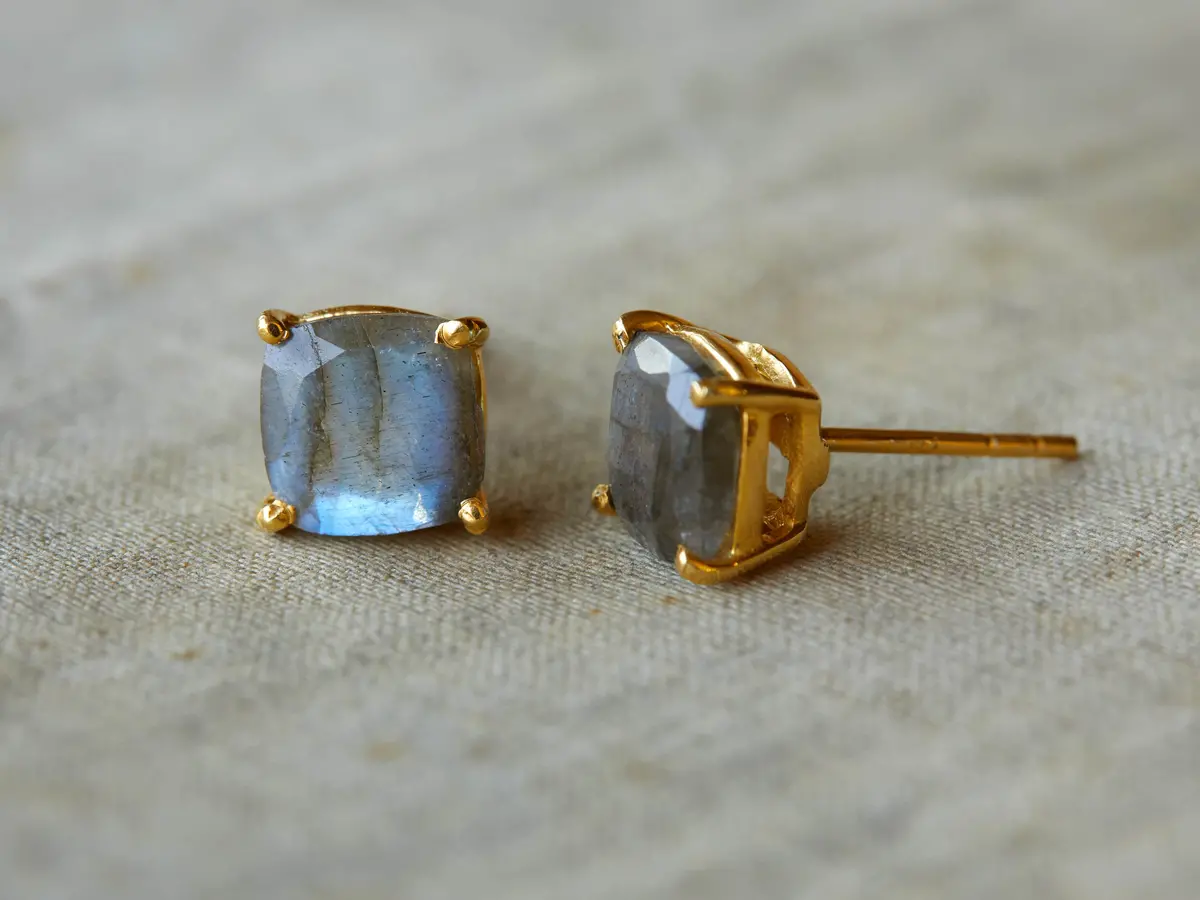 Celisa Stud Earrings 1