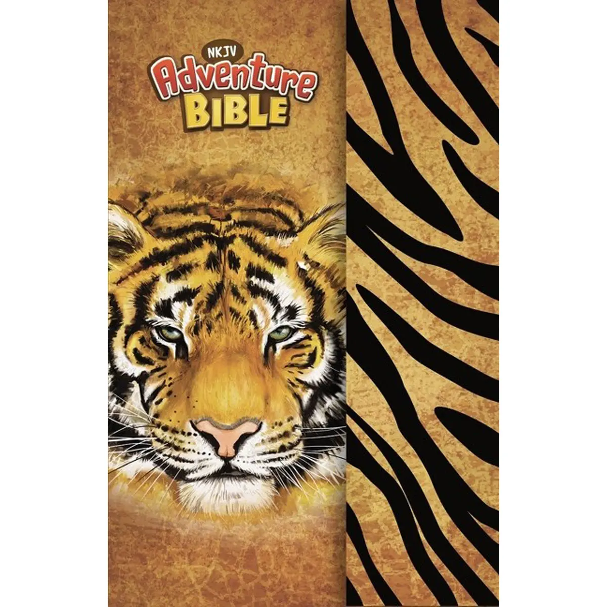Nkjv Adventure Bible Full Color Magnetic Closure (Hardcover) 1