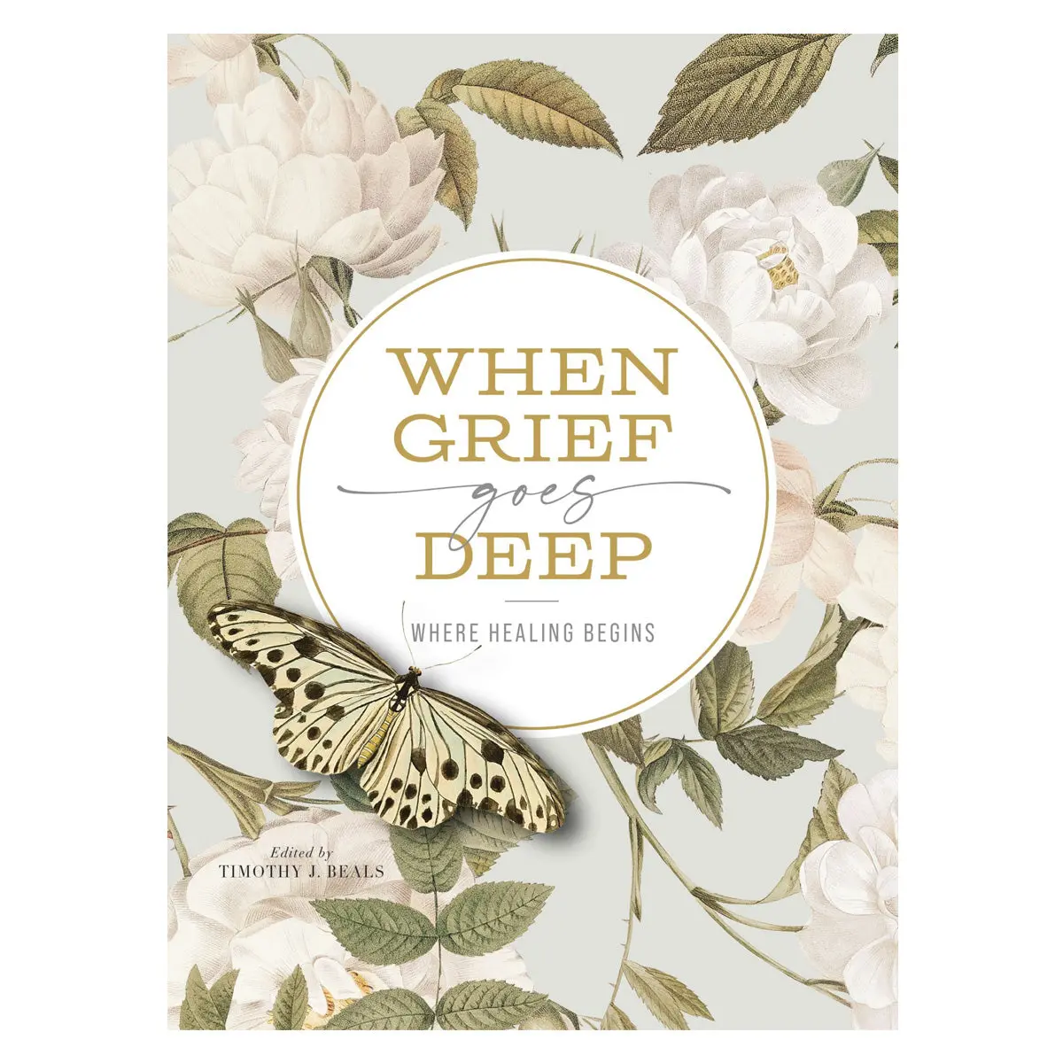 When Grief Goes Deep: Where Healing Begins (Paperback) 1