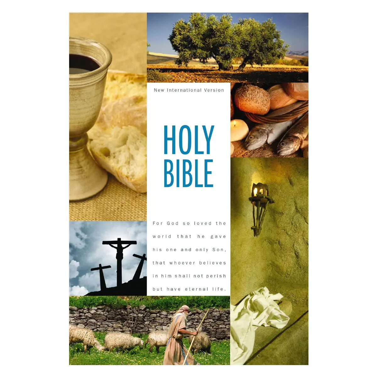 Niv Hardcover Holy Bible Textbook Edition 1