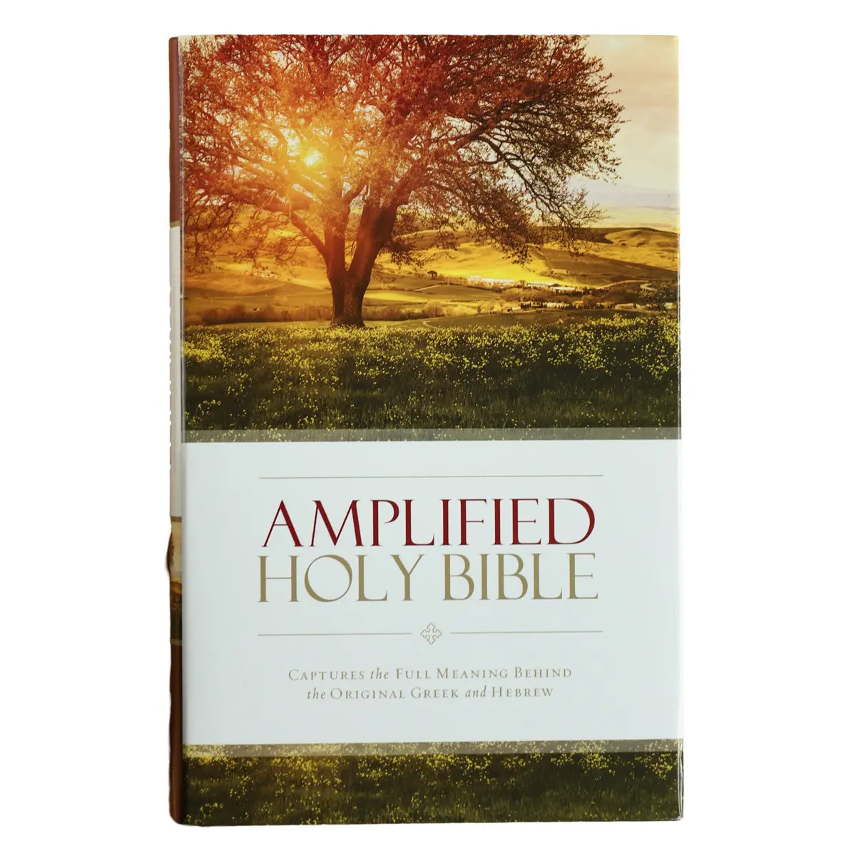 Amplified Holy Bible (Hardcover) 1