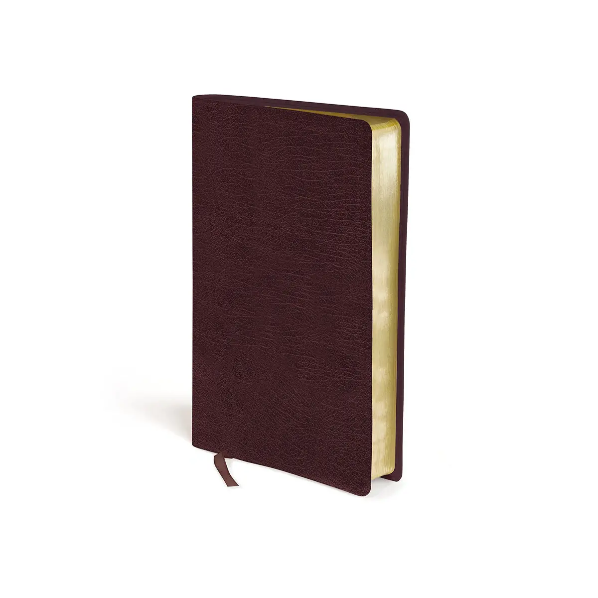 Amplified Holy Bible Large Print Burgundy (Bonded Leather) 1