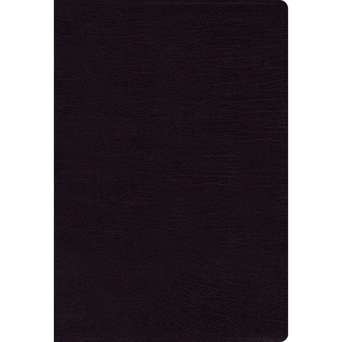 Nasb Black Bonded Leather 1995 Ed Thinline Bible Red Letter Comfort Print 1