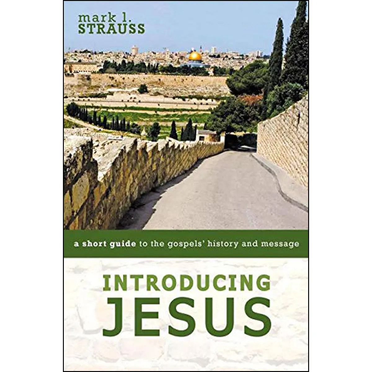 Introducing Jesus (Paperback) 1