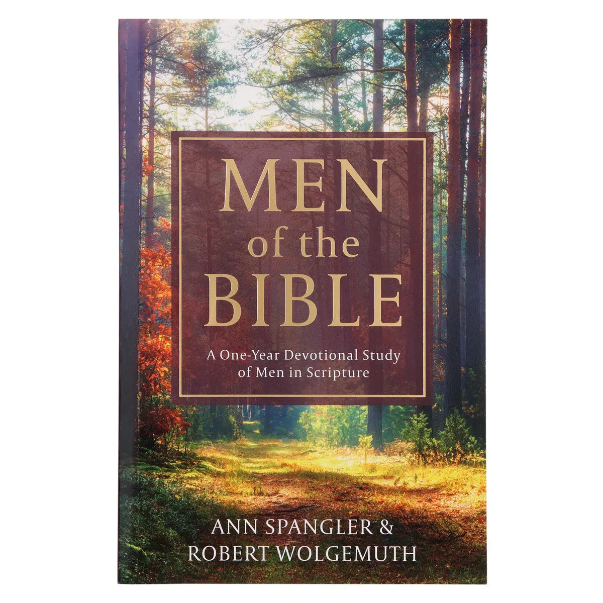 Men Of The Bible: A One-Year Devotional Study Of Men In Scripture (Paperback) 1