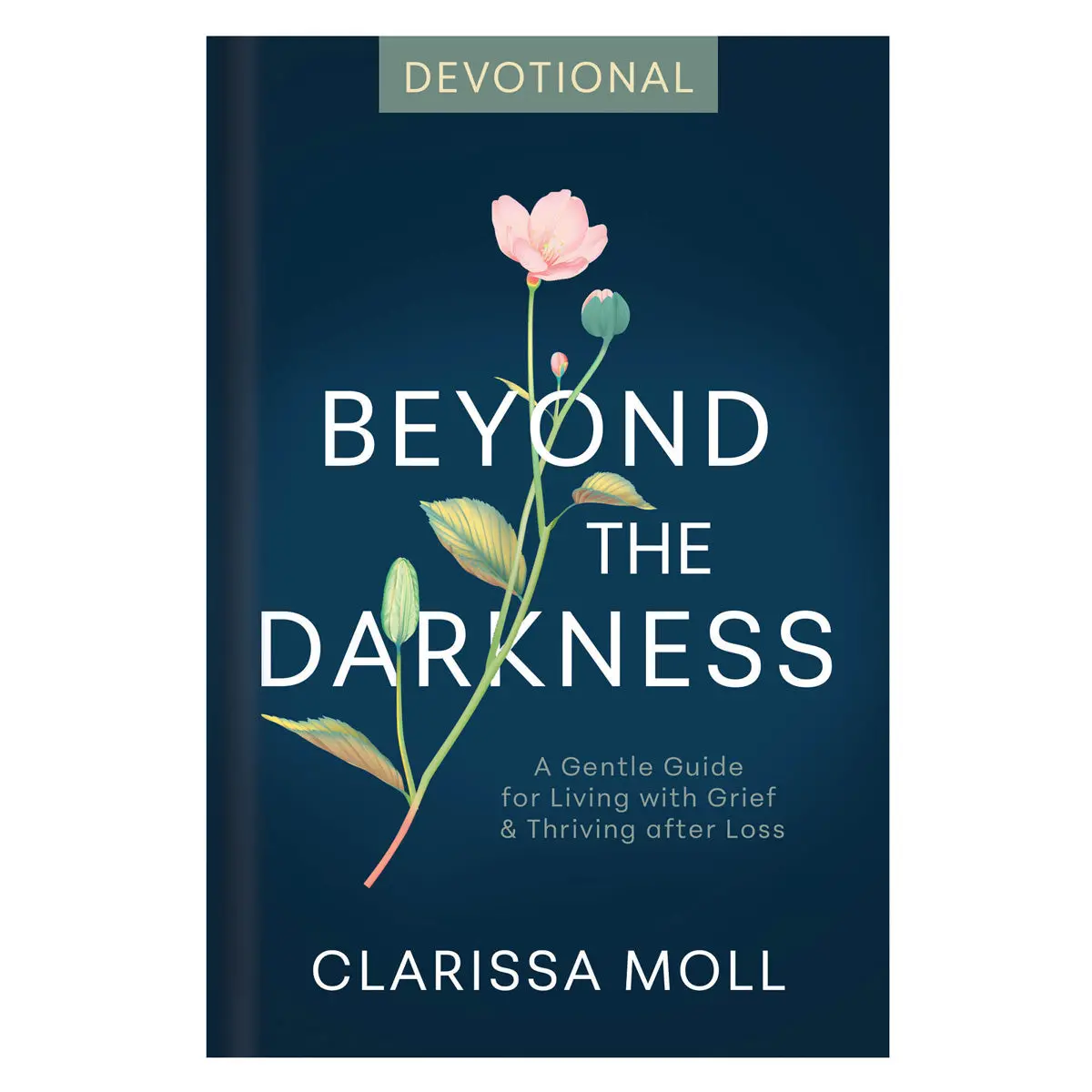 Beyond The Darkness Devotional (Hardcover) 1