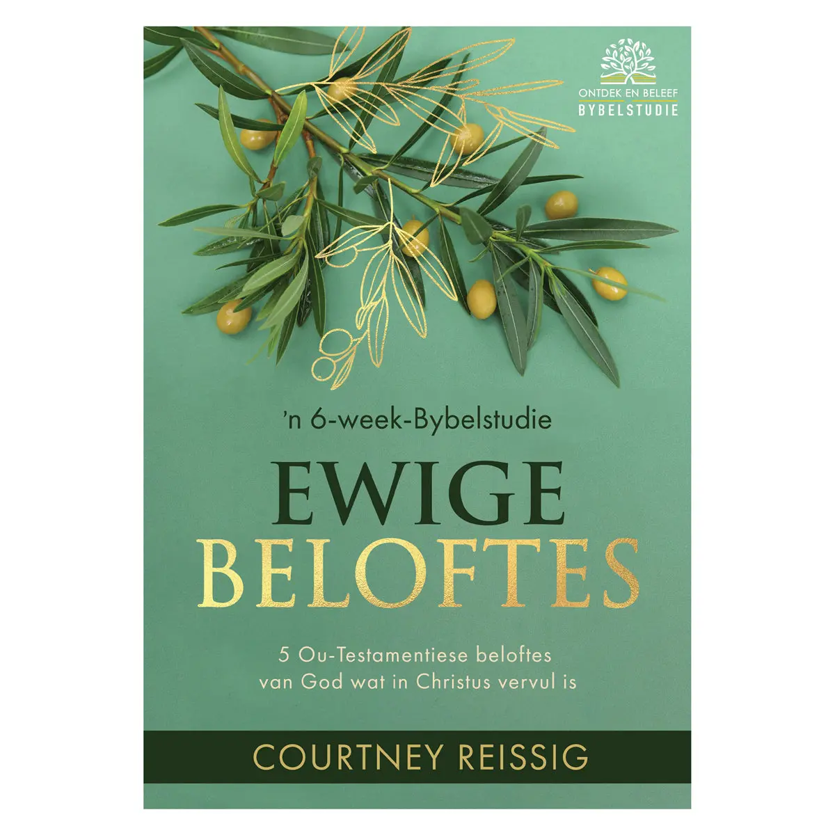 Ewige Beloftes: ’N 6-Week-Bybelstudie (Sagteband) 1