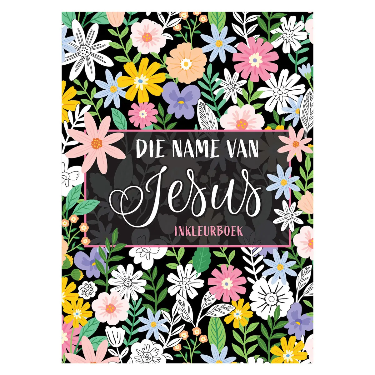 Die Name Van Jesus Inkleurboek (Sagteband) 1