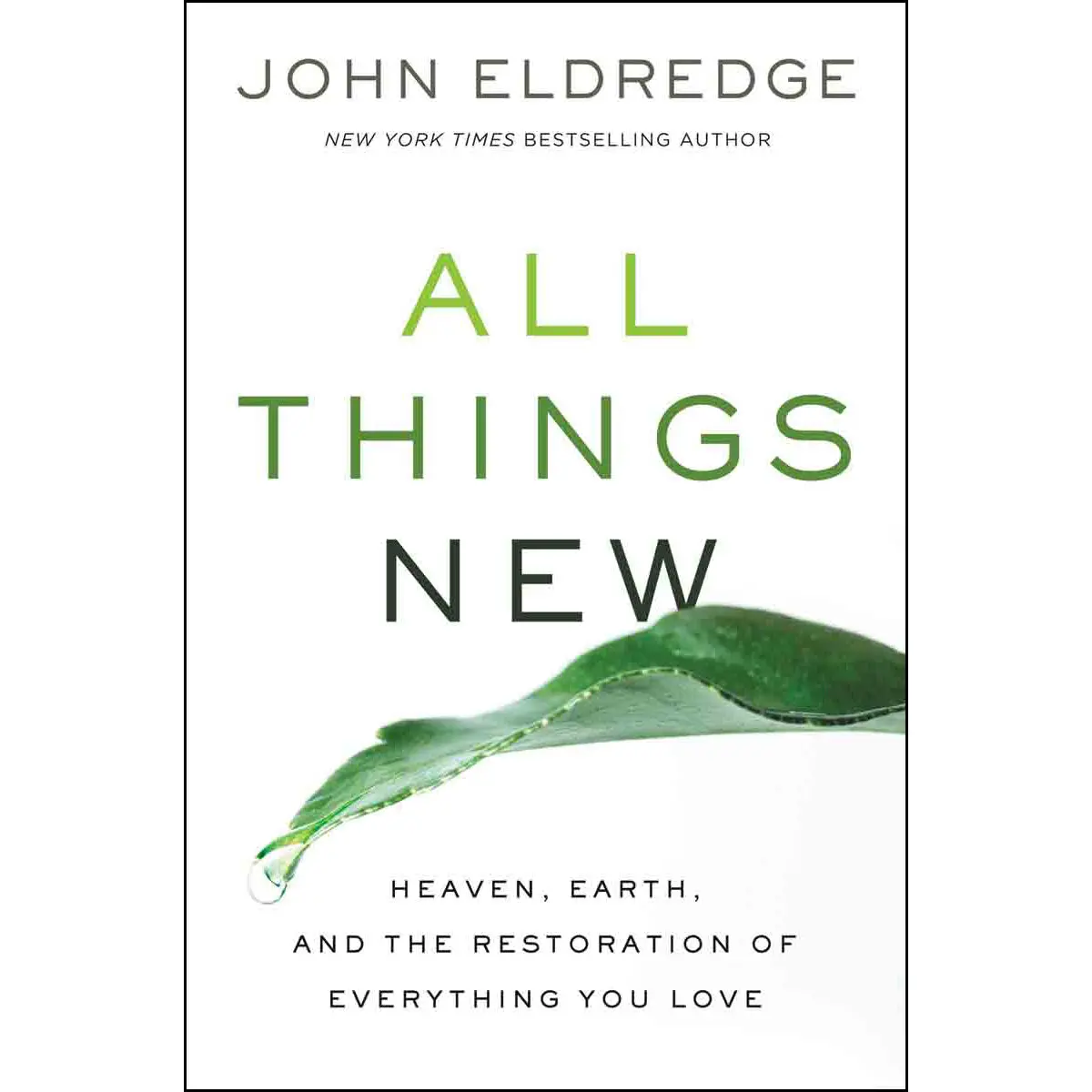 All Things New: Heaven Earth And The Restoration Of Everything / Love (Paperback) 1