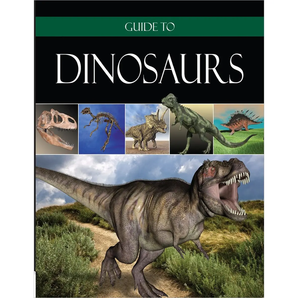 Guide To Dinosaurs (Hardcover) 1