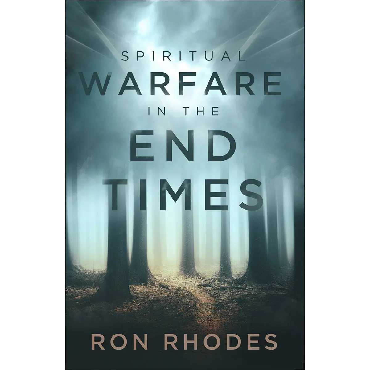 Spiritual Warfare In The End Times (Paperback) 1