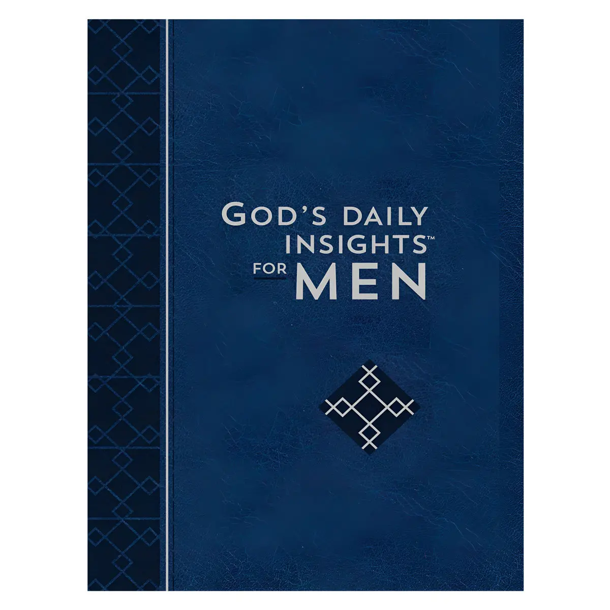 God's Daily Insights For Men (Imitation Leather) 1
