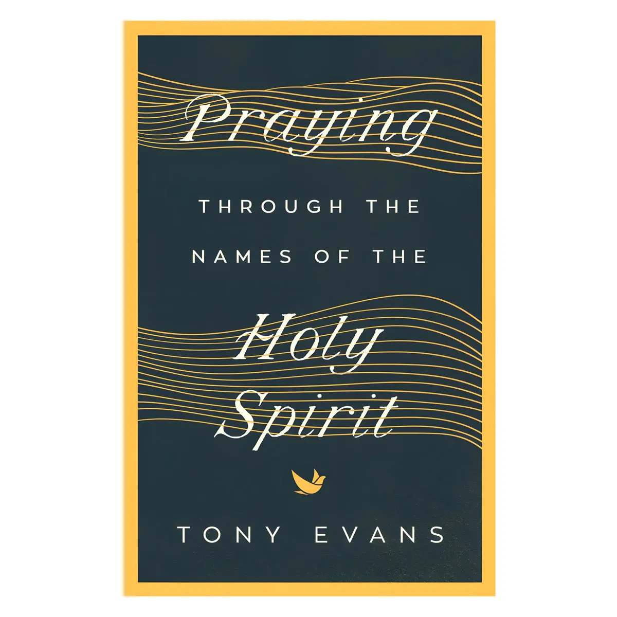 Praying Through The Names Of The Holy Spirit - The Names Of God Series (Paperback) 1