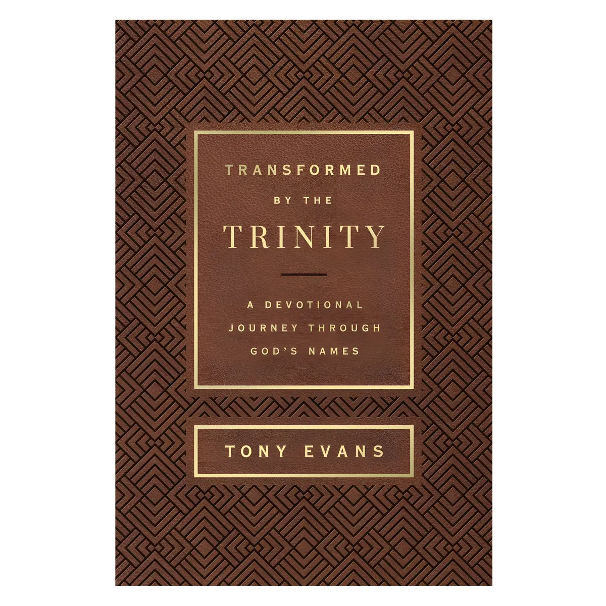 Transformed By The Trinity: A Devotional Journey Through God's Names - The Names Of God Series Im 1