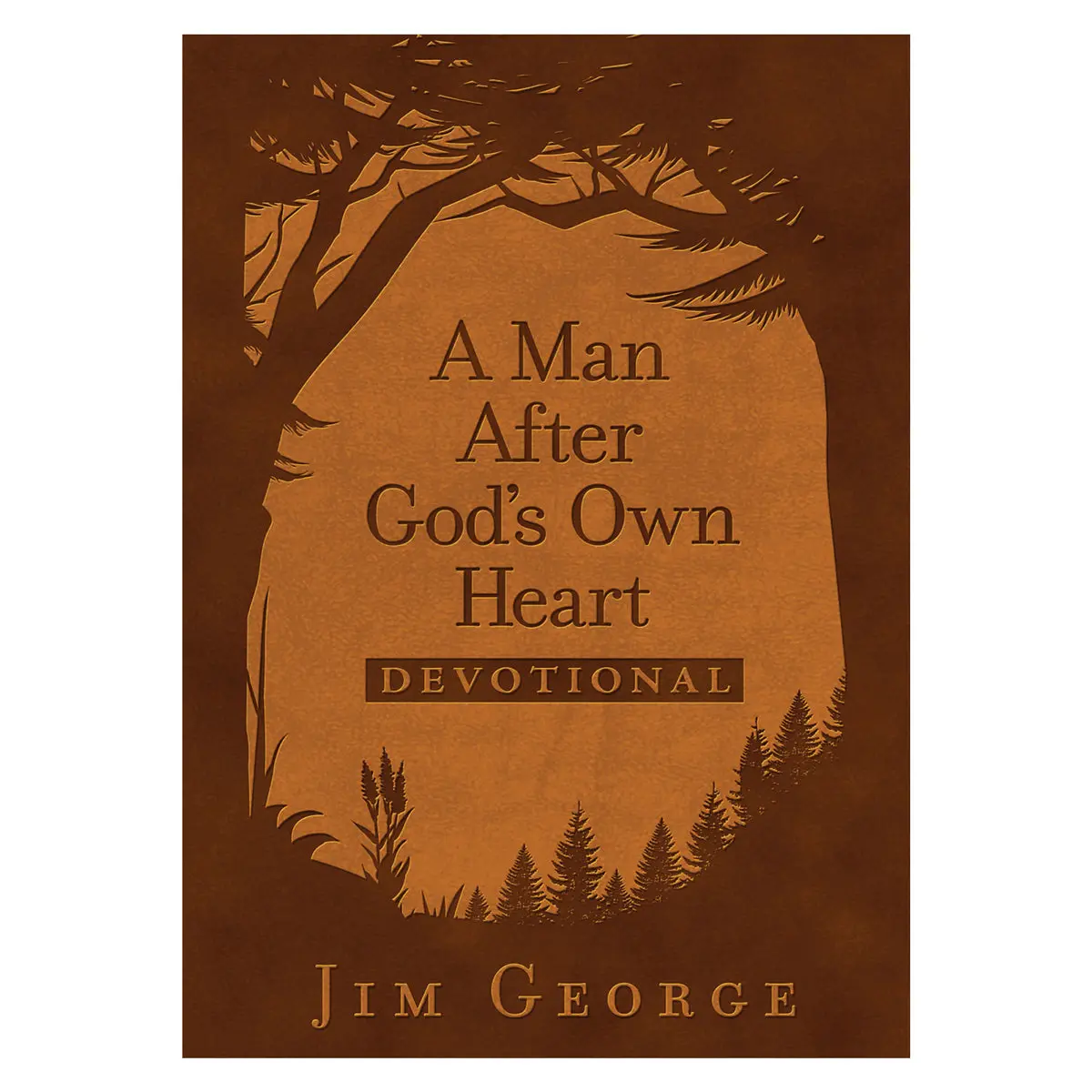 A Man After God's Own Heart Devotional (Imitation Leather) 1